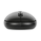 Targus B581 Compact and Multi-device Bluetooth Mouse