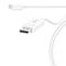 J5create USB Type-C To 4K Displayport Cable