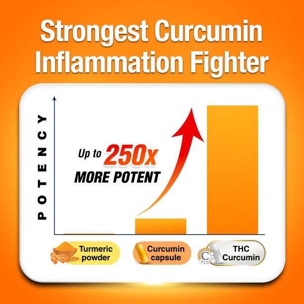 LABO Nutrition FlexC MAX EX Curcumin Extract 95% Joint Immune Body Muscle Pain