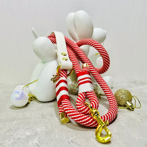 LEASh Pet Leash - Candy Cane - White