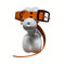 LEASh Pet Collar Biothane - Feu Orange - Rose Gold Hardware
