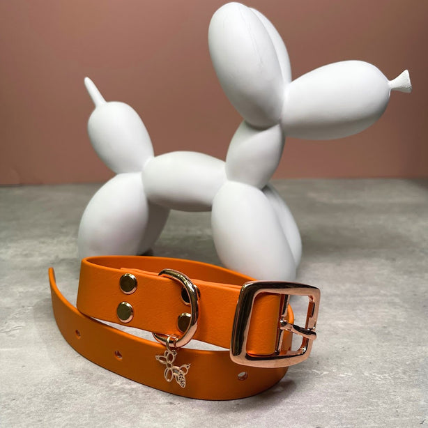 LEASh Pet Collar Biothane - Feu Orange - Rose Gold Hardware