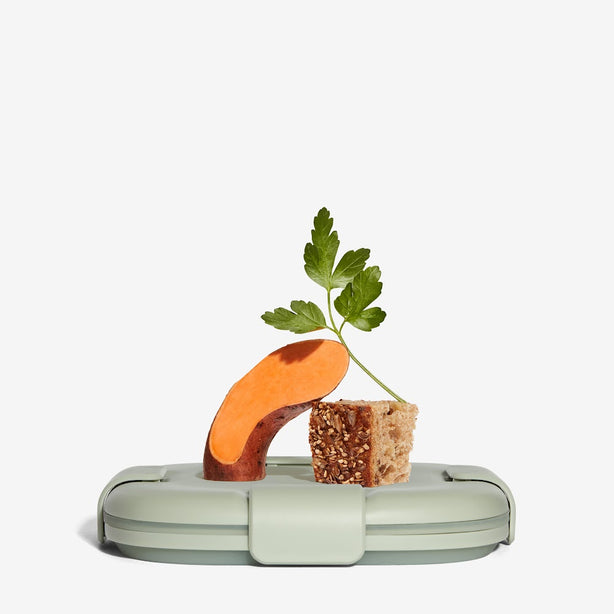 Stojo Collapsible Snack Box