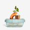 Stojo Collapsible Snack Box