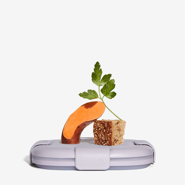 Stojo Collapsible Snack Box