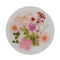Jojomama Candy Series Coaster Set of 8