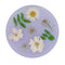Jojomama Candy Series Coaster Set of 8