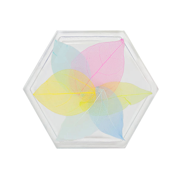 Jojomama Hexagon Botany Coaster - Set of 8