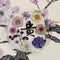 Jojomama Blossom Series