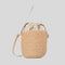CHLOE Small Woody Basket In Natural Fibers Blush Beige RB-CHC23AS381L18