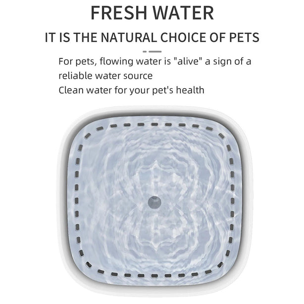 LEASh Pet Water Fountain