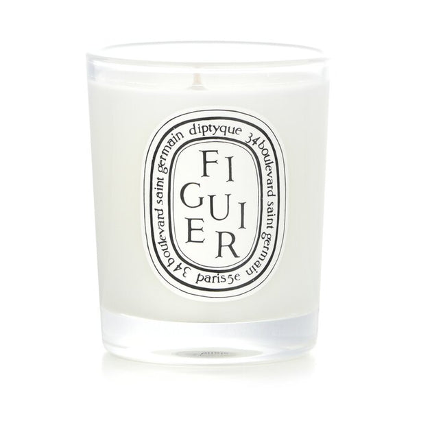 Scented Candle - Figuier (fig Tree) -