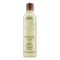 Rosemary Mint Purifying Shampoo -