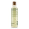 Rosemary Mint Purifying Shampoo -