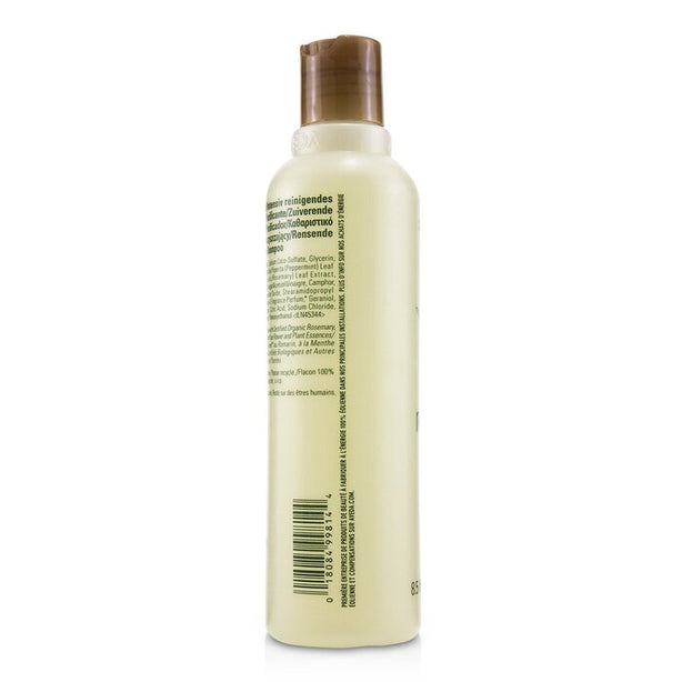 Rosemary Mint Purifying Shampoo -