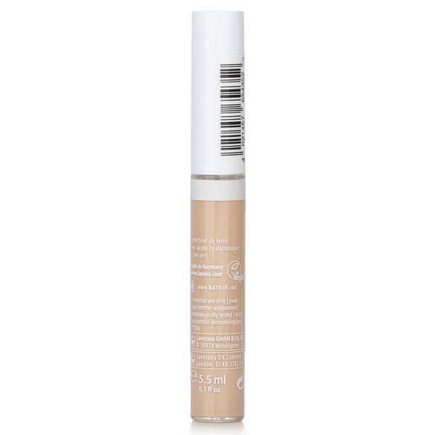 Radiant Skin Concealer - # 01 Ivory (exp. Date 31 Oct 2026) - 5.5ml/0.1oz