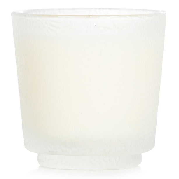 Petite Pedestal Candle - Spiced Goji Tarocco Orange - 72g/2.5oz