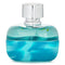 Festival Vibes Eau De Toilette Spray