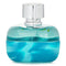 Festival Vibes Eau De Toilette Spray