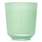 Vert Eucalyptus Candle - 200g/7.05oz