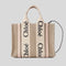 CHLOE Small Woody Tote Bag Cement Pink RB-CHC22AS397I266J5