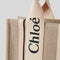 CHLOE Small Woody Tote Bag Cement Pink RB-CHC22AS397I266J5