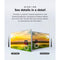 TCL C655 Qled 4K Google TV 50 Inch