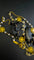 Black Gold Delight Necklace