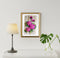 Pink Lotus Serenity A3 Art Poster