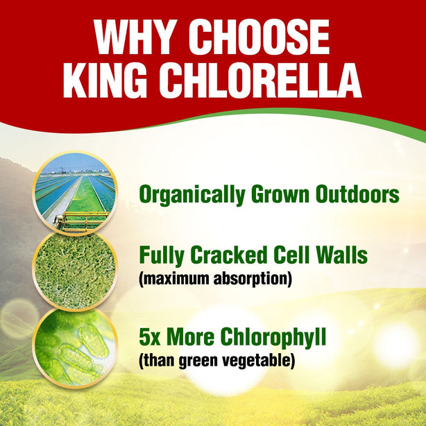 AFC King Chlorella 1000s Superfood for Detox Digestion Weight Diet Immune