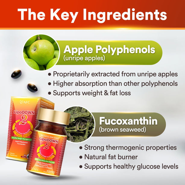 AFC LipoDOWN2 Weight Loss Slimming Fat Burner Appetite Control Boost Metabolism