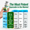 LABO Nutrition Perfect Quercetin for Lung Respiratory Sinus Congestion Allergy