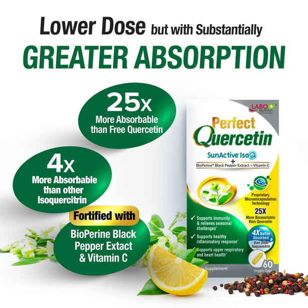 LABO Nutrition Perfect Quercetin for Lung Respiratory Sinus Congestion Allergy