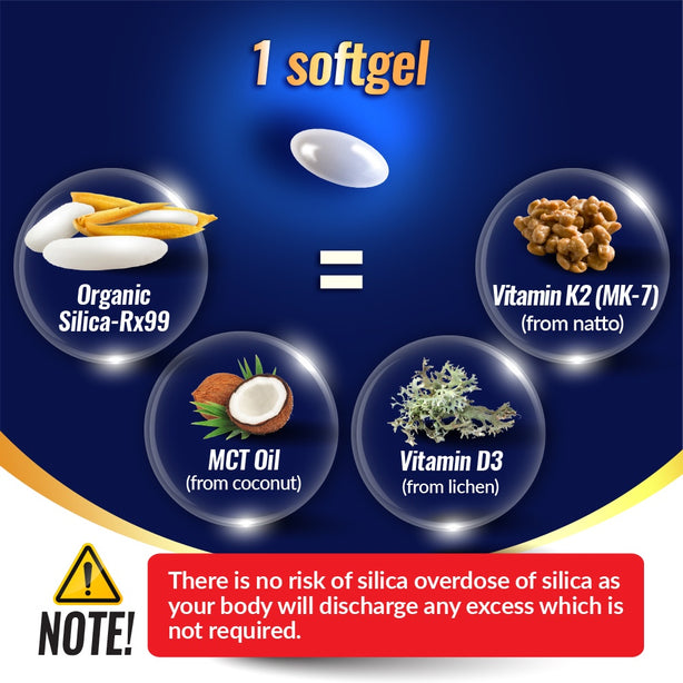 LABO Nutrition Bioactive Silica - Increase Bone Density for Stronger Bones
