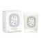 Scented Candle - Figuier (fig Tree) -