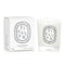 Scented Candle - Figuier (fig Tree) -