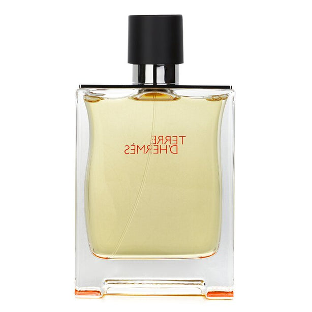 Terre D'hermes Eau De Toilette Spray