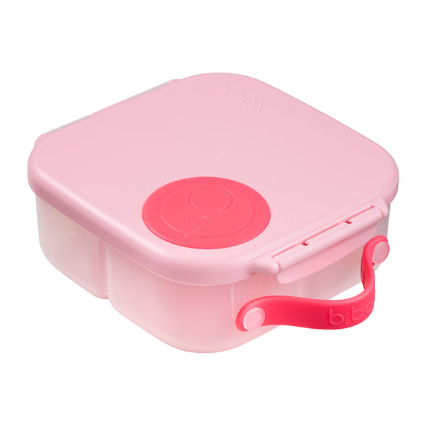 Mini Lunchbox - Flamingo fizz