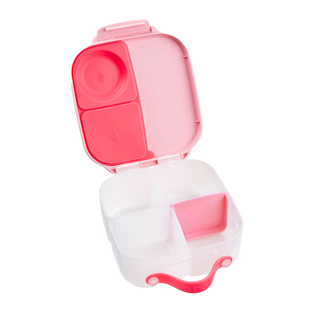 Mini Lunchbox - Flamingo fizz