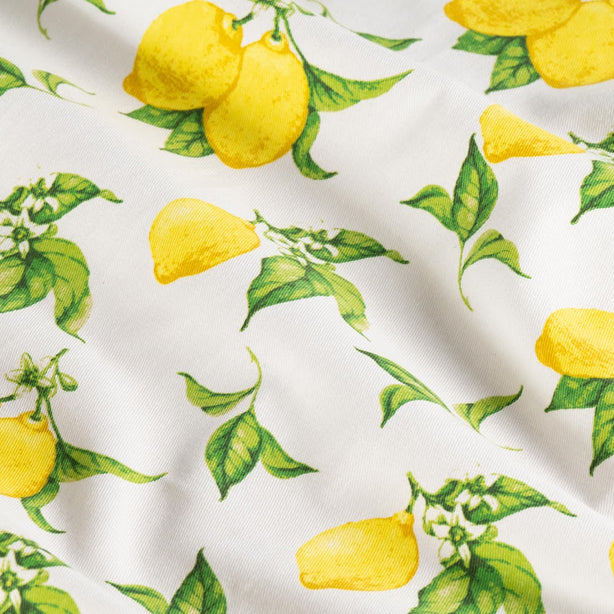 Kitchen Towel Twin Pack Luxury Designer Lemons Heritage Collection by Robinsons