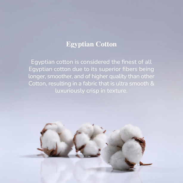 Bellami I Essential 4.0 HG I 100% Egyptian Cotton I 1000TC I Fitted Sheet Set I Bed Set I Pillow Case I Bolster Case (With Quilt Cover) - 5 Colours