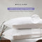 Bellami I Shield Guard I Waterproof CoolMax I Pillow & Bolster Protector