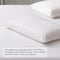Bellami I Shield Guard I Waterproof CoolMax I Pillow & Bolster Protector