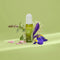Herbal Recovery Bi-Phase Serum