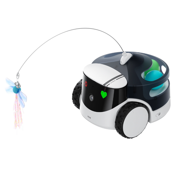 Enabot Rola PetPal Robot CCTV & Interactive Toys Bundle