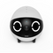Enabot ROLA Mini Smart Familybot Remote Robot CCTV for Family