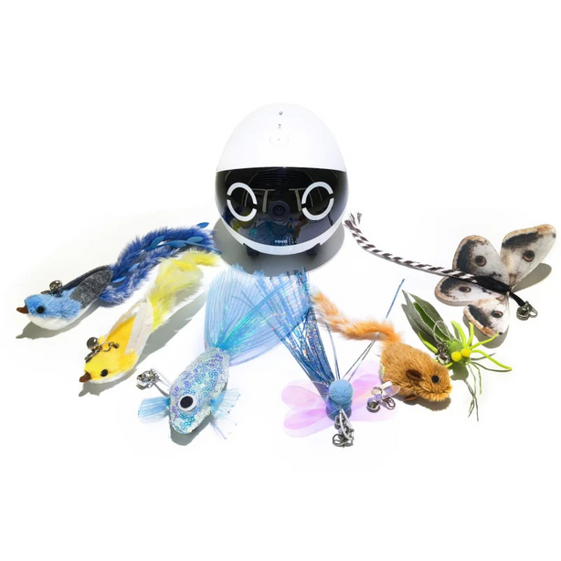 Enabot 7 in 1 Interactive Cat Teaser Set