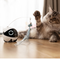Enabot 7 in 1 Interactive Cat Teaser Set