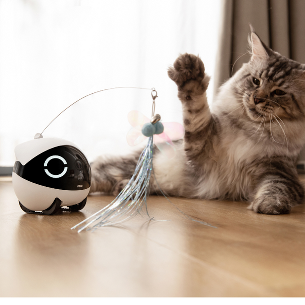 Enabot 7 in 1 Interactive Cat Teaser Set