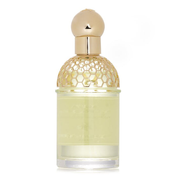 Aqua Allegoria Nerolia Vetiver Eau De Toilette Spray  - 75ml